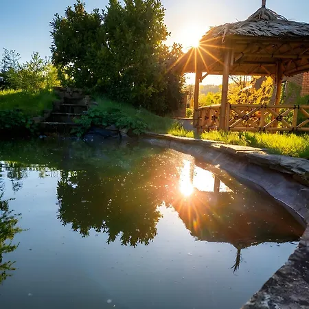 Zenarden - Ninglinspo Valley View & Private Spa Alojamento de Turismo Selvagem *