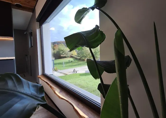 Zenarden - Ninglinspo Valley View Lodge